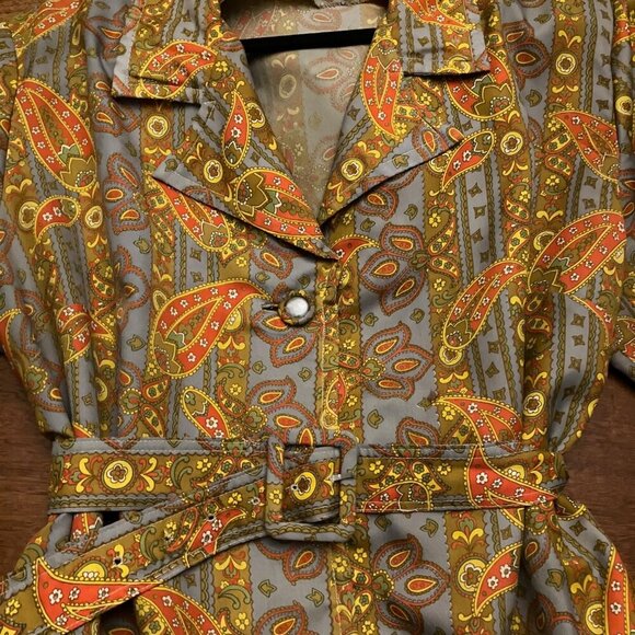Groovy Vintage Paisley Dress (Plus Size) - Picture 2 of 7